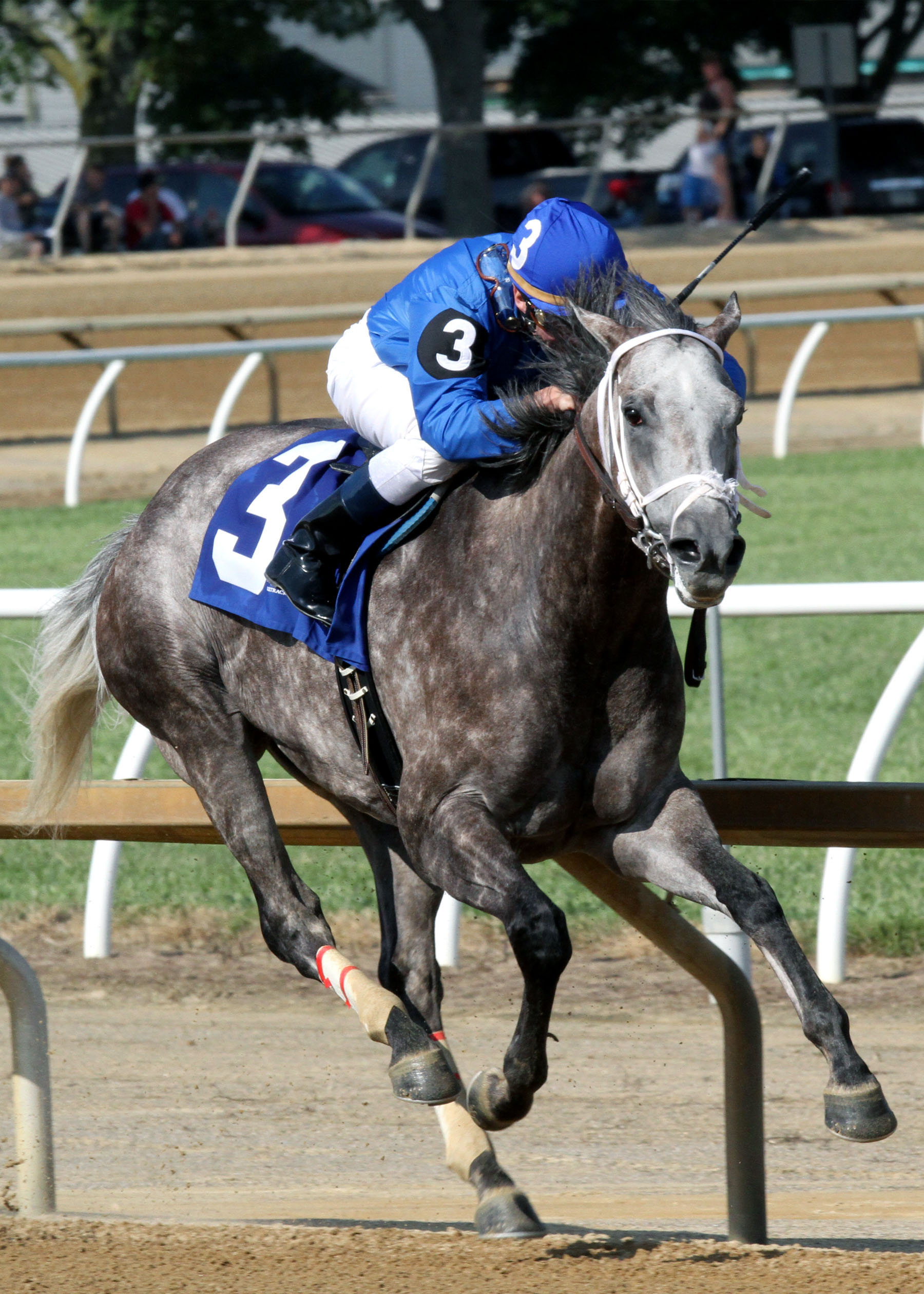 Taptowne wins the West Virginia Governor's Stakes