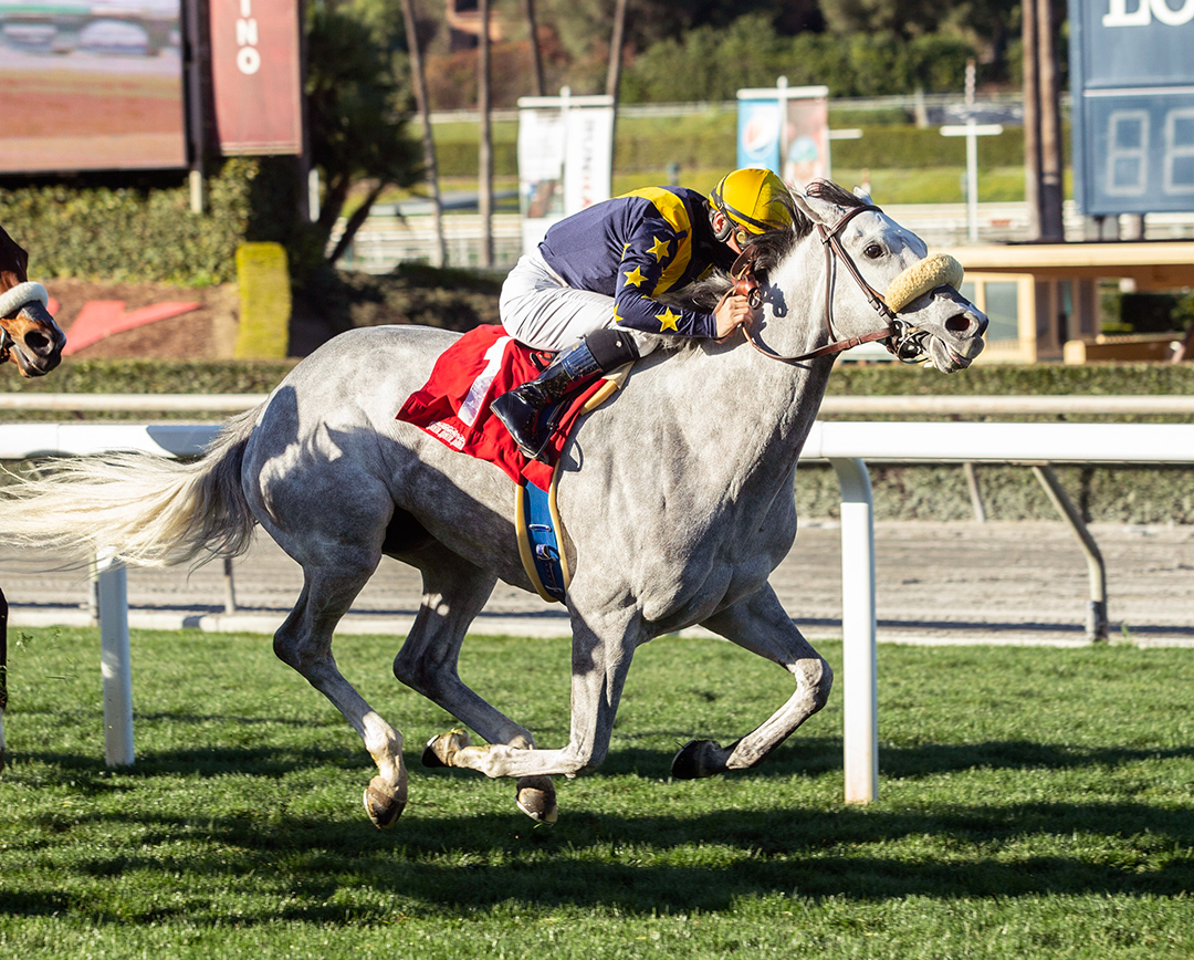 Tapwater wins a Feb. 12 optional claiming race at Santa Anita