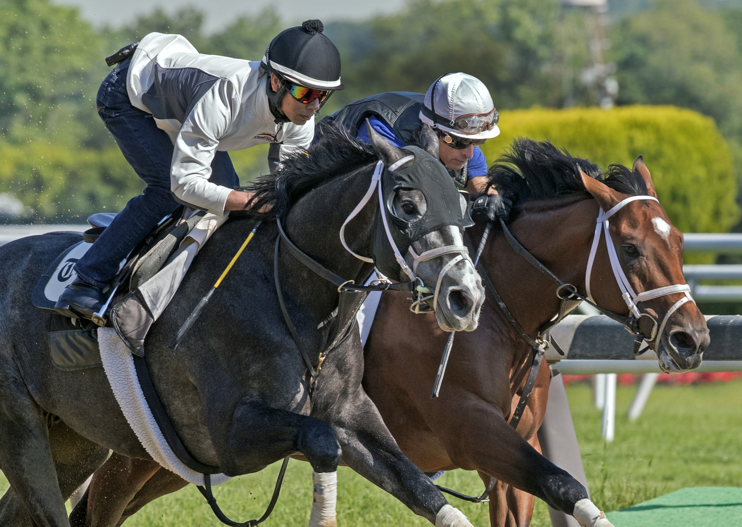 Tapwrit and Patch train at Belmont on June 2
