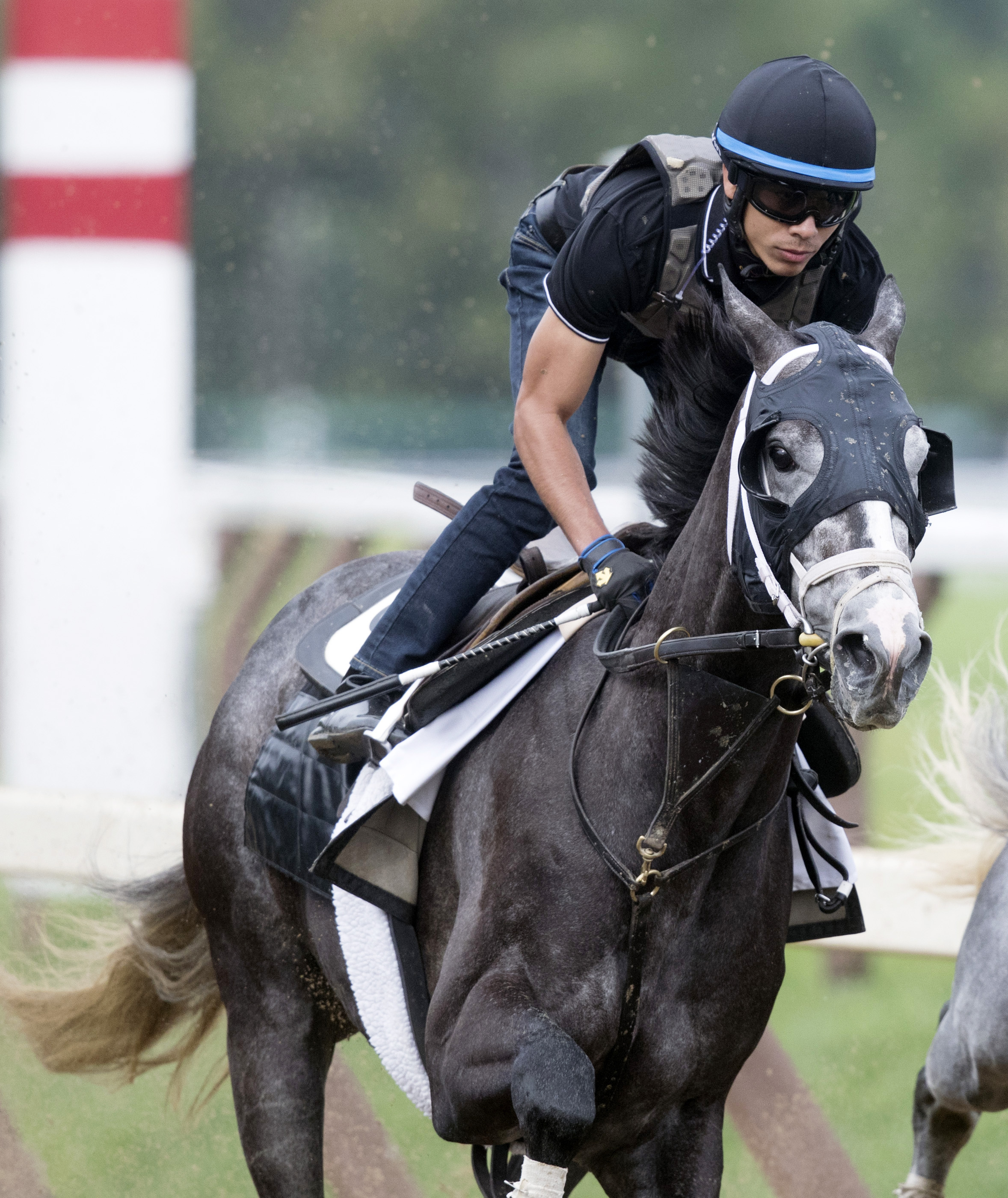 Tapwrit trains at Saratoga on July 29, 2017