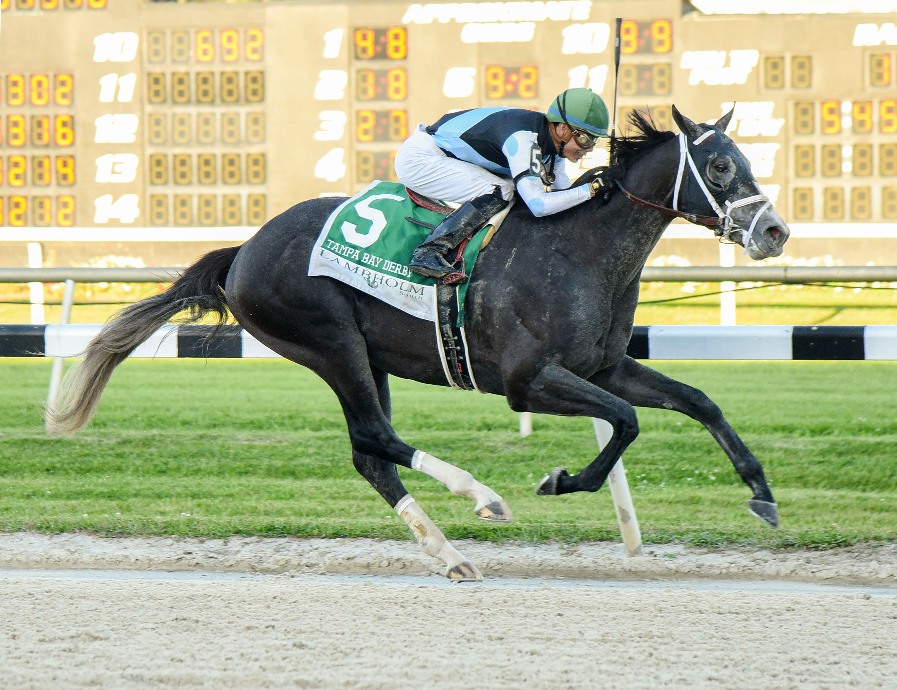 Tapwrit wins the Tampa Bay Derby