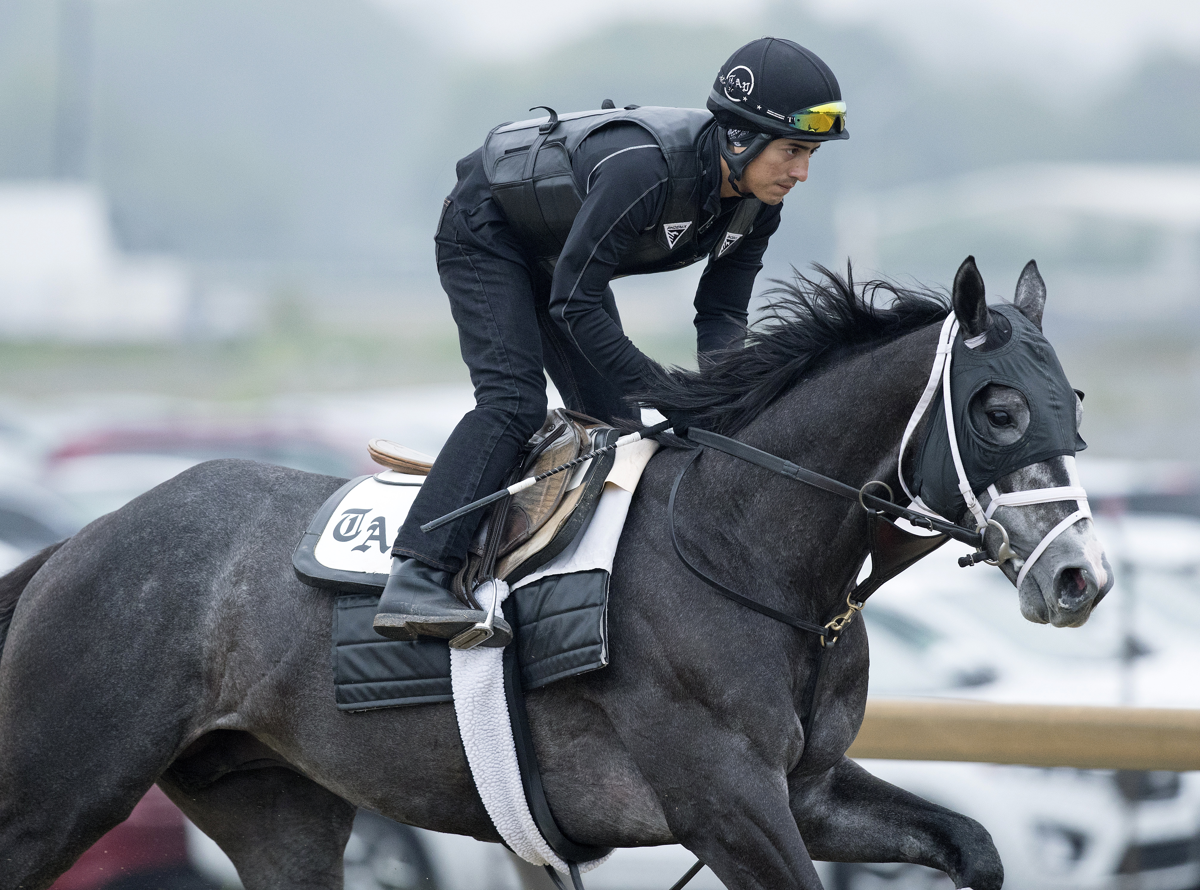 Tapwrit trains at Belmont Park on June 5