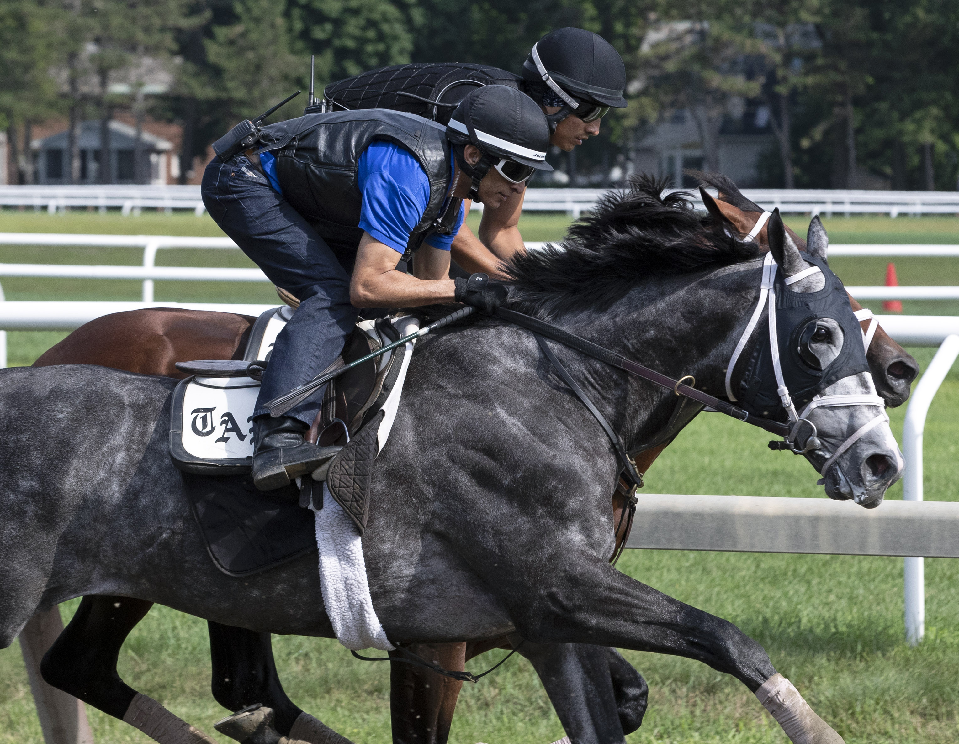 Tapwrit works in Whitney prep