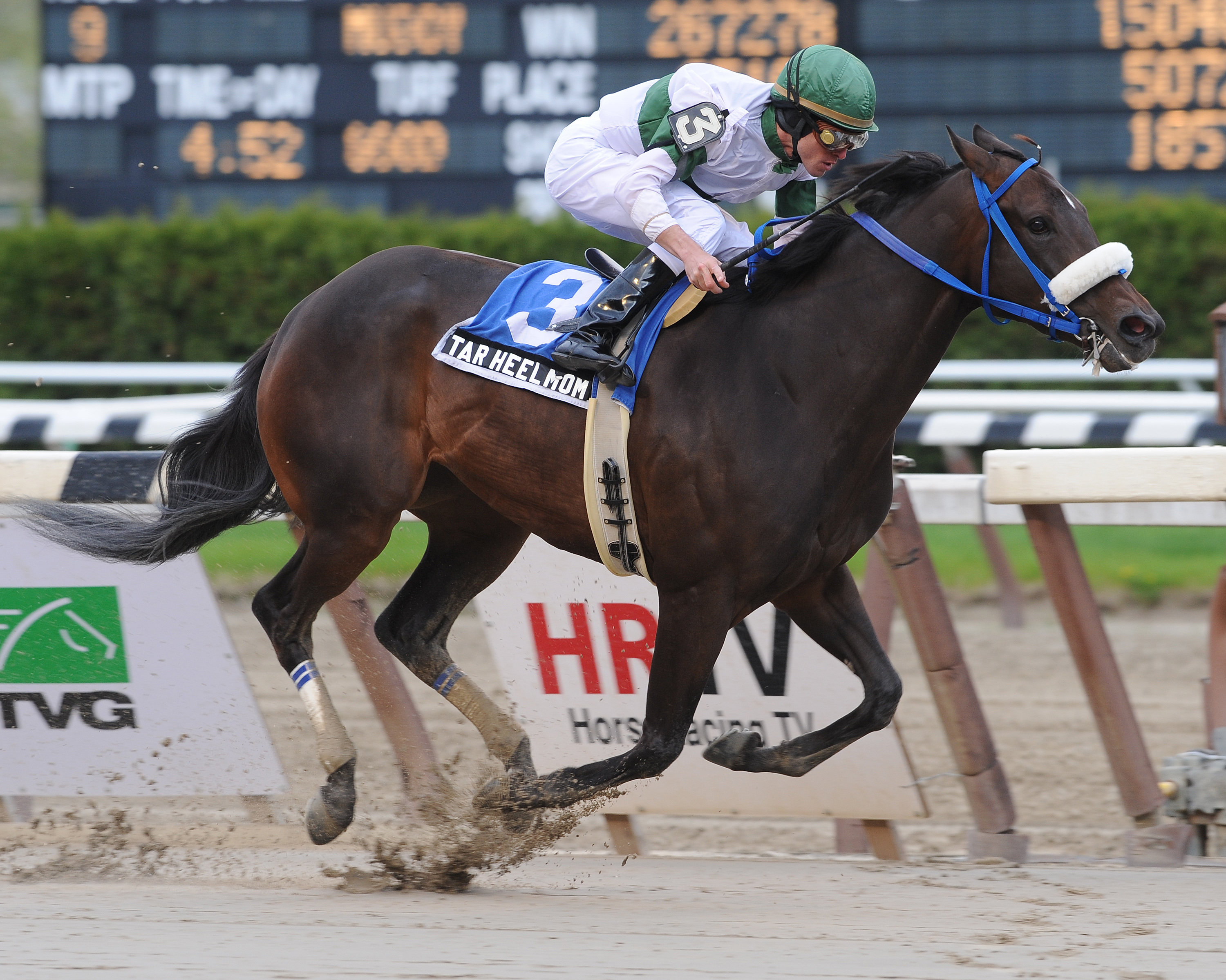 Tar Heel Mom/Distaff