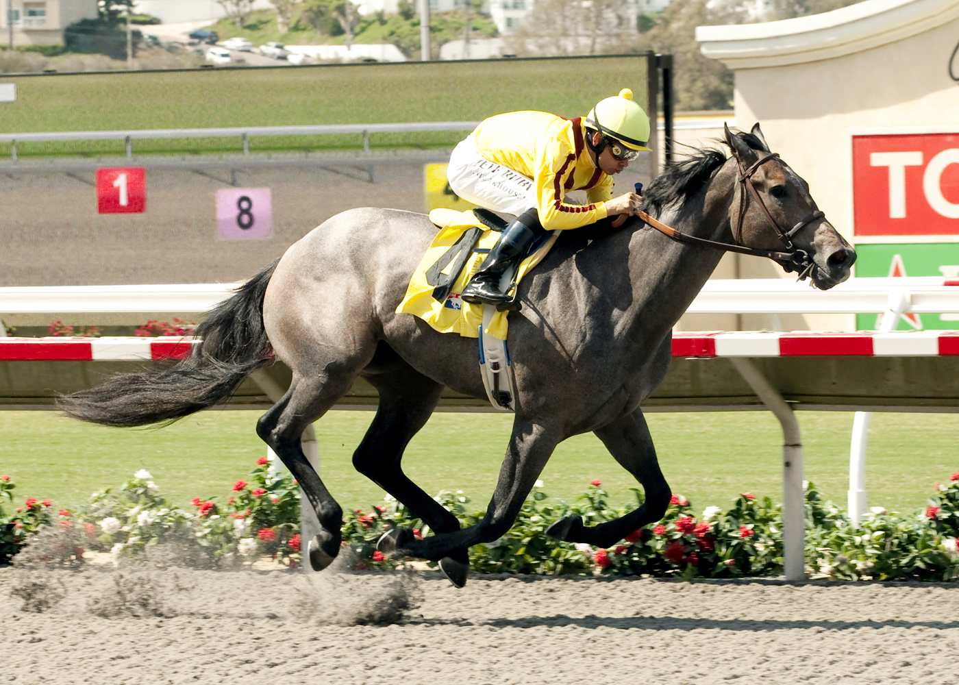 Tara's Tango wins a maiden race