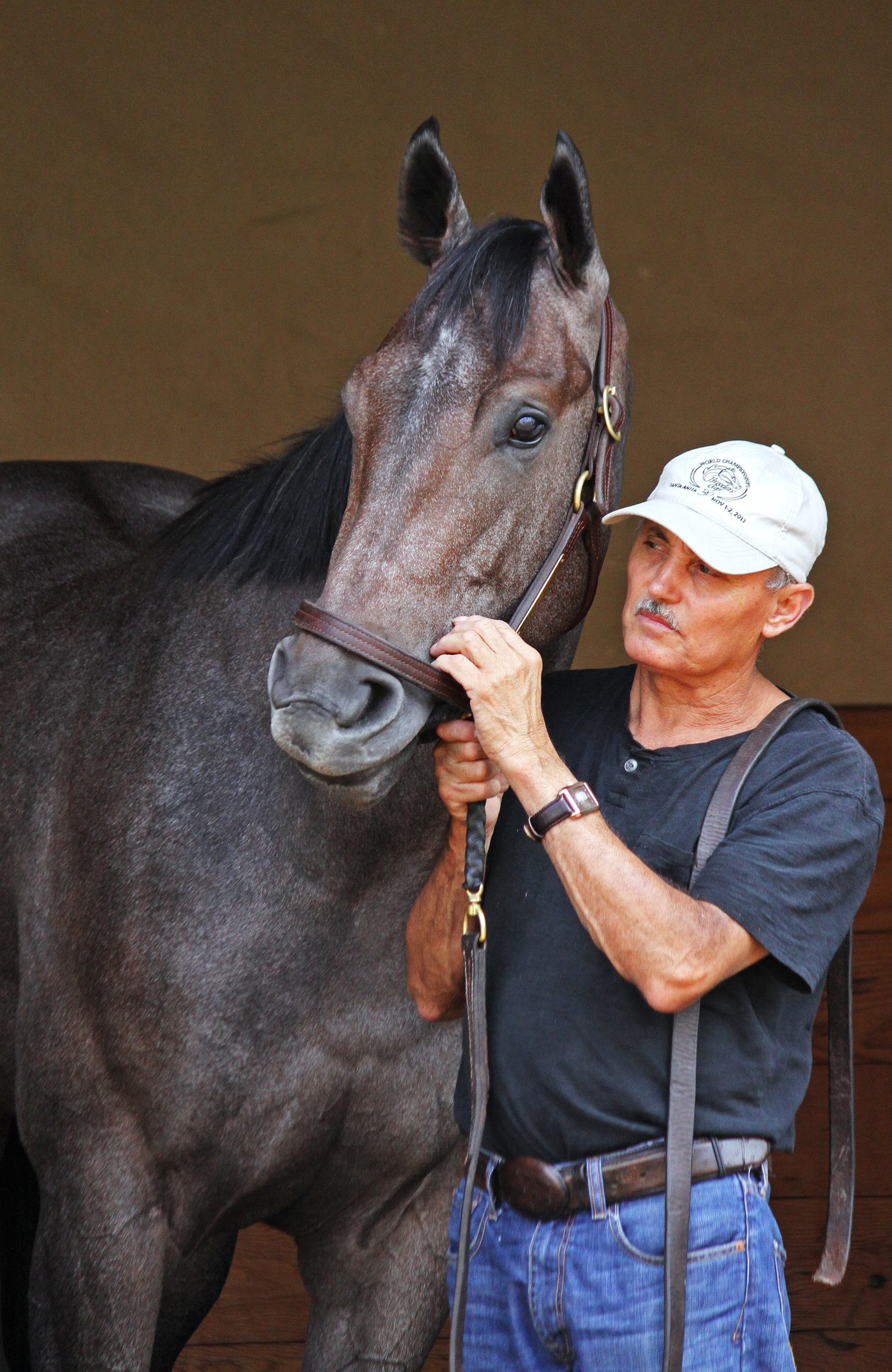 Tara's Tango at Santa Anita in 2014