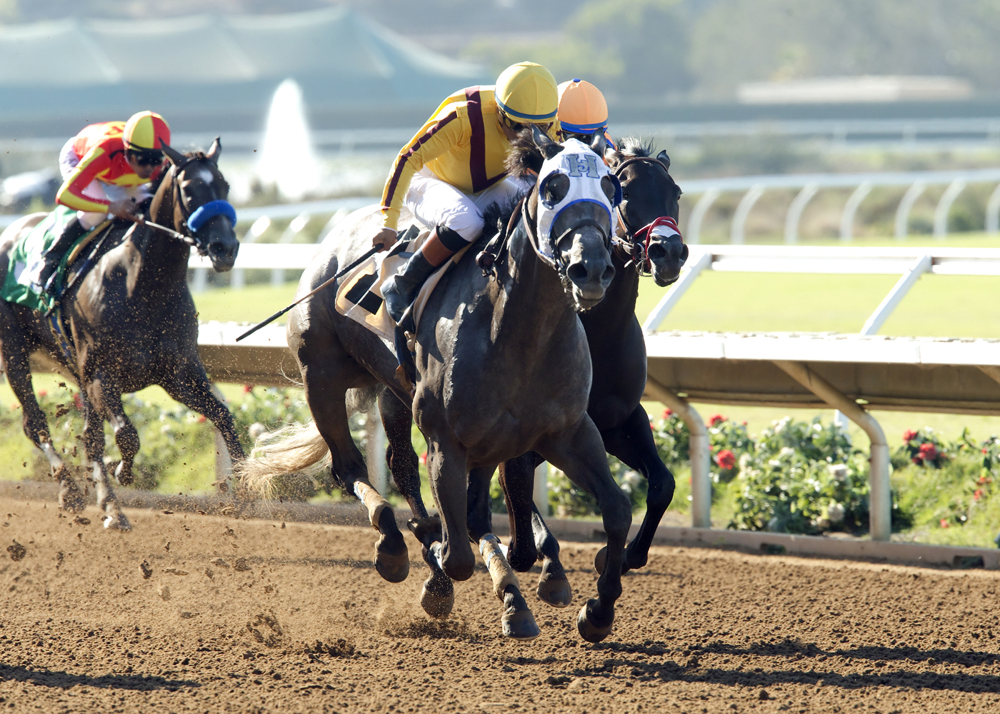 Tara's Tango wins the Rancho Bernardo Stakes