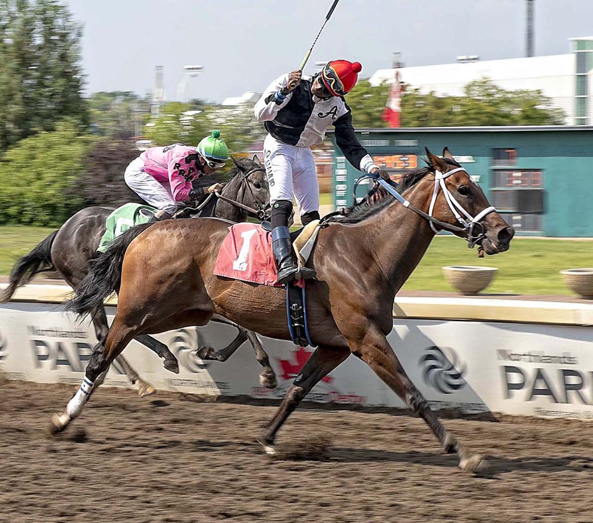 Tara's Way wins the 2018 Duchess of York