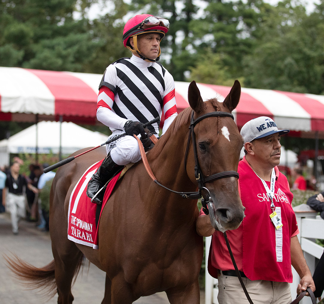 Tarabi at the Spinaway Stakes at Saratoga Race Course
