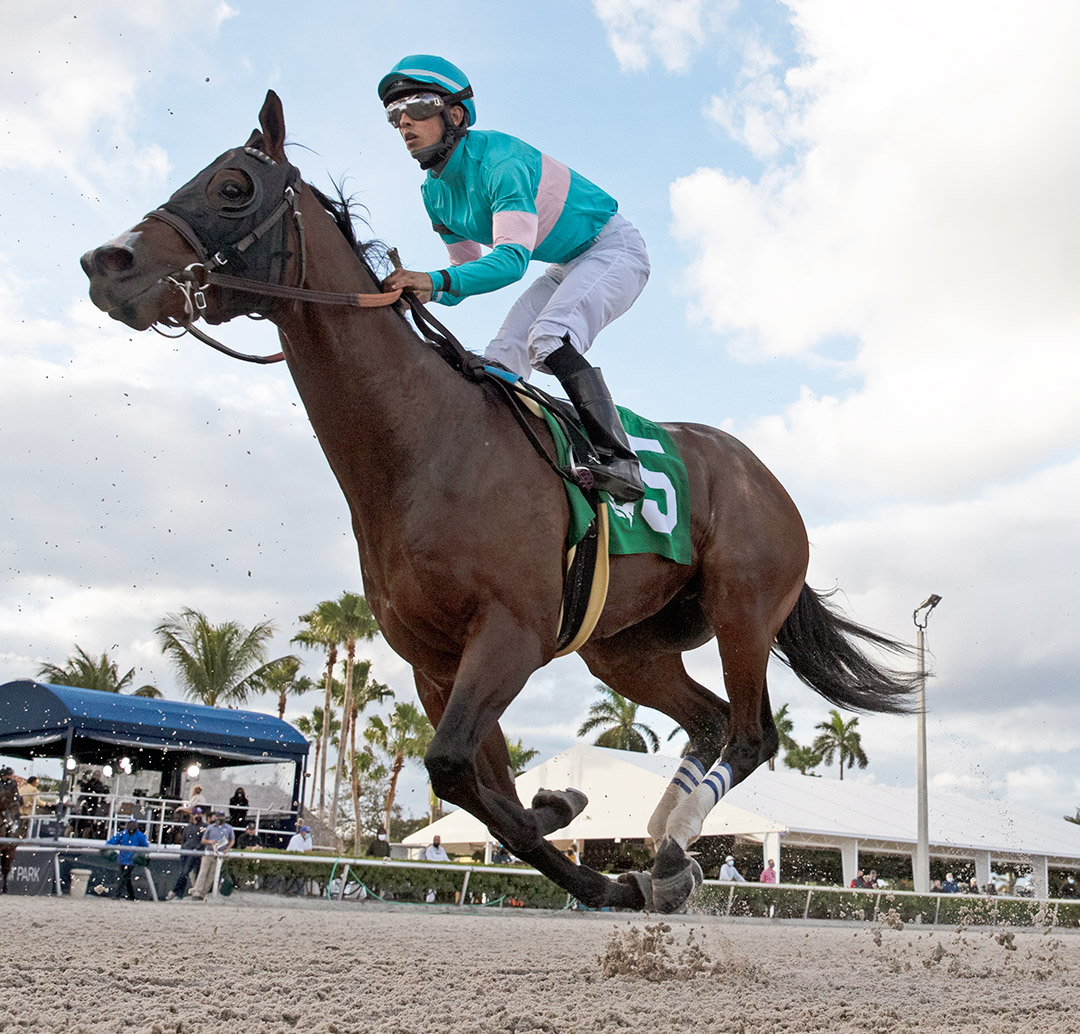 Tarantino finishes second in the 2021 Holy Bull at Gulfstream Park