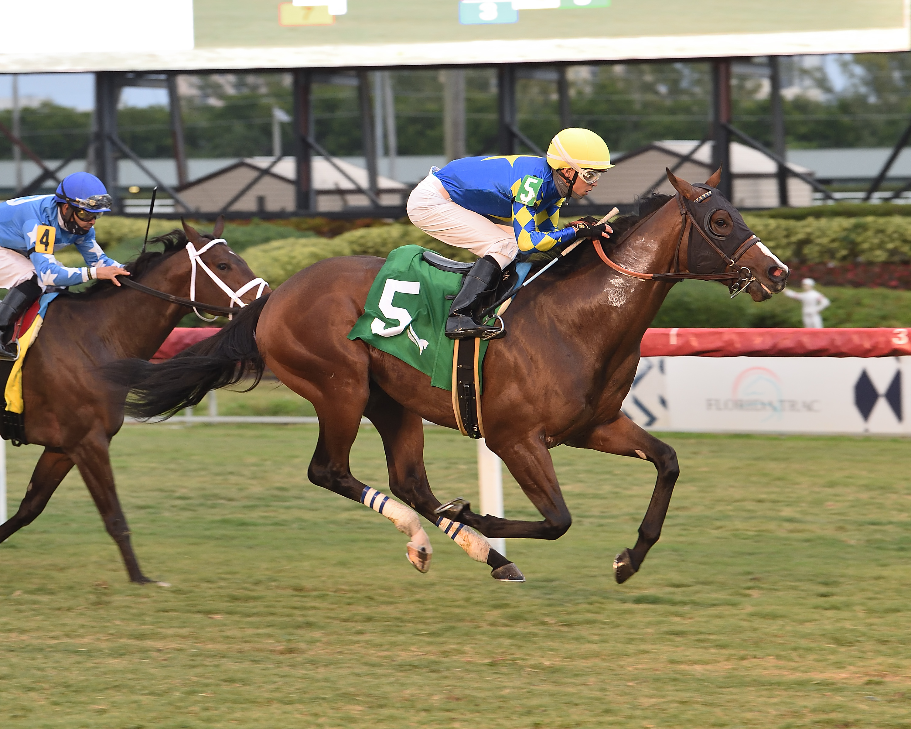 Tarantino wins a Dec. 11 allowance race at Gulfstream Park