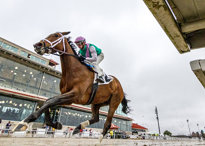 Taraz wins the 2019 Letellier Memorial Stakes at Fair Grounds