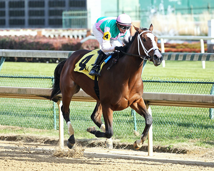 Taraz wins a Nov. 14 maiden race at Churchill Downs