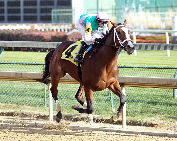 Taraz wins a Nov. 14 maiden race at Churchill Downs