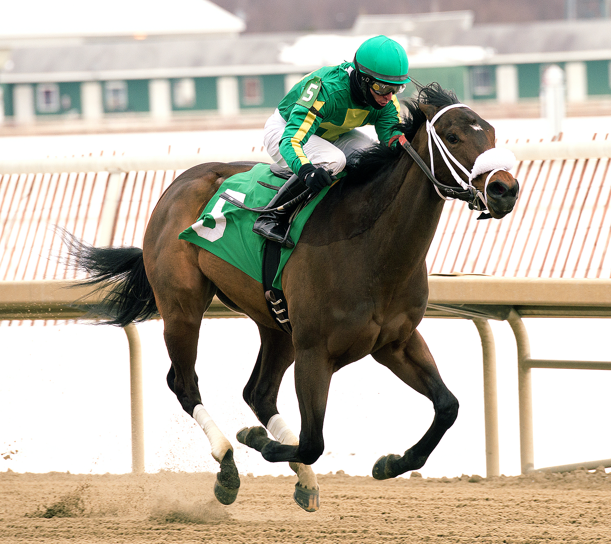 Taris wins the Wide Country Stakes