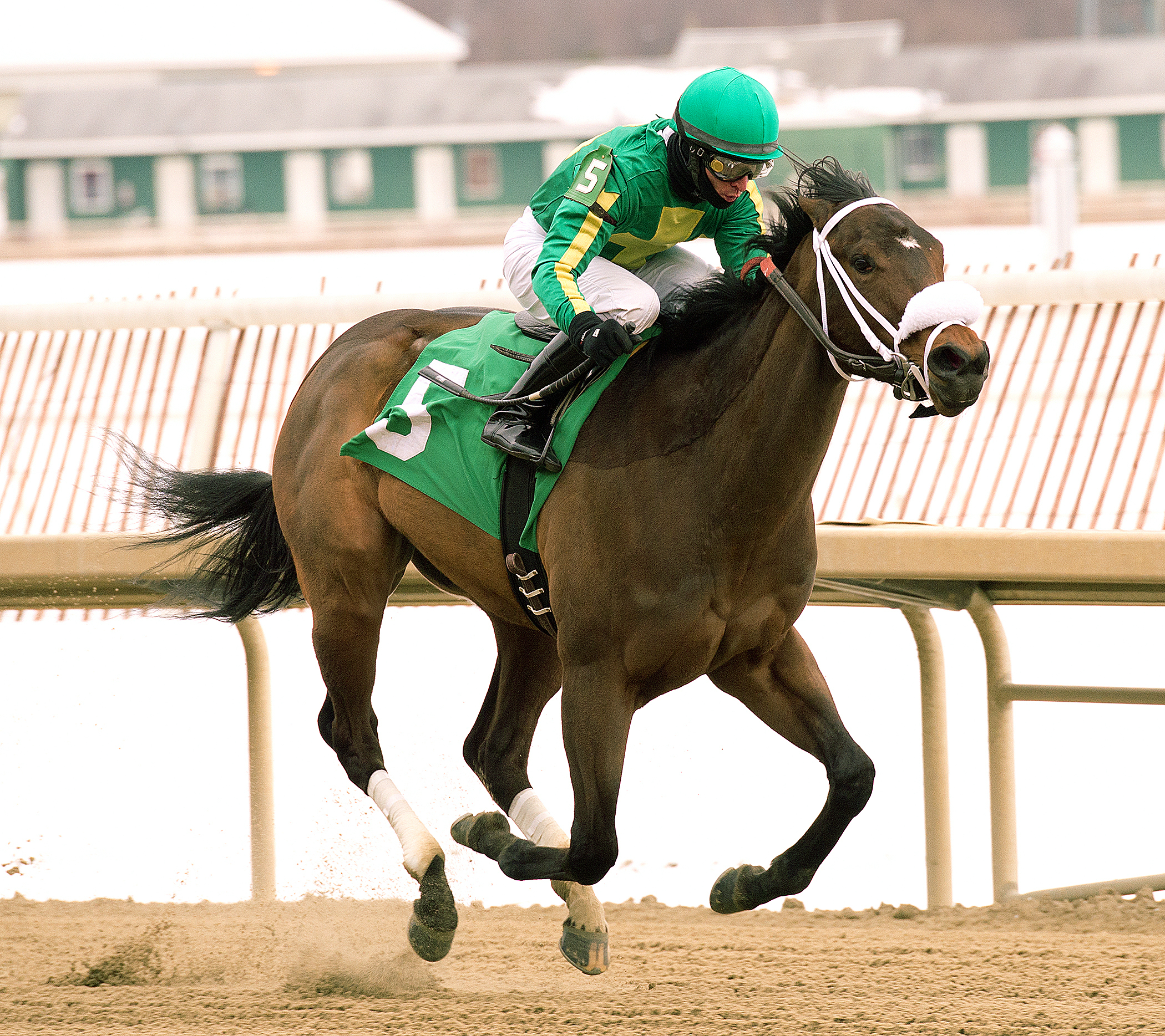 Taris wins the Wide Country Stakes