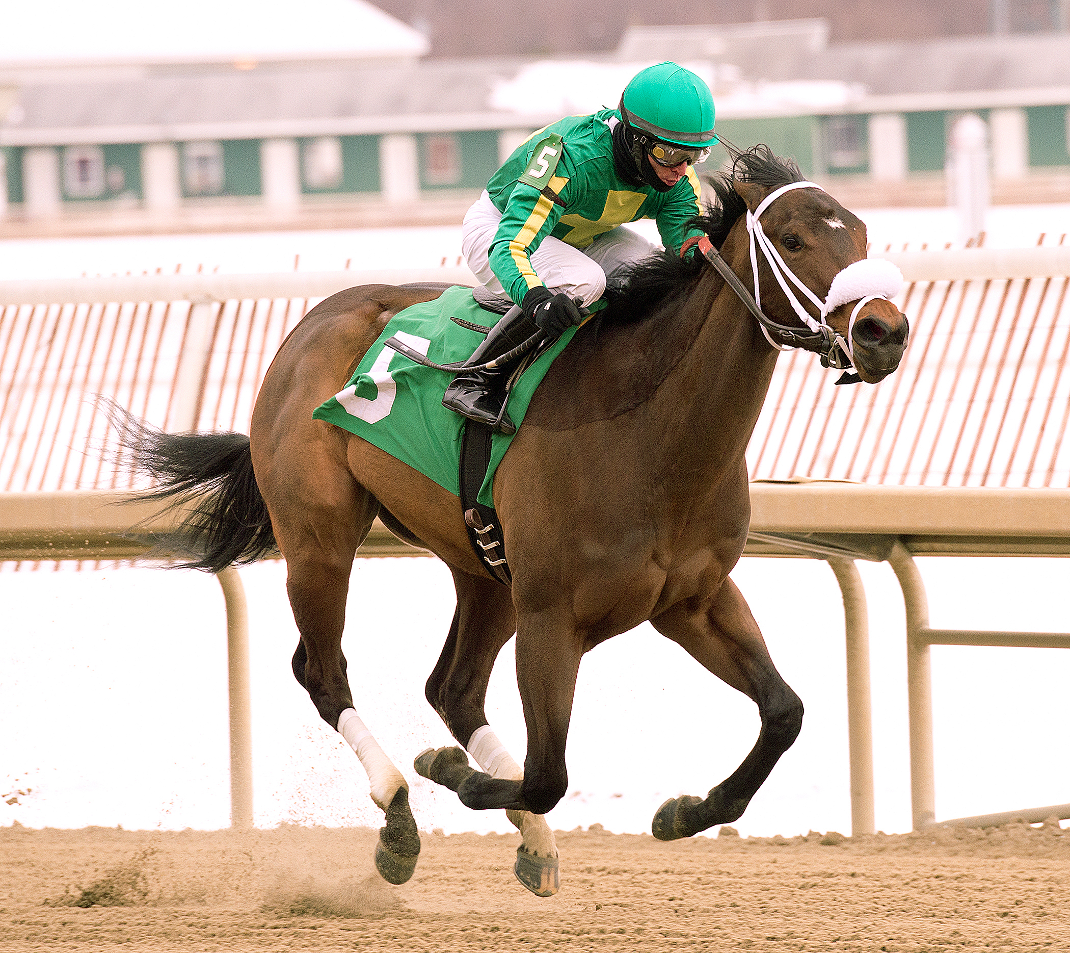 Taris wins the Wide Country Stakes