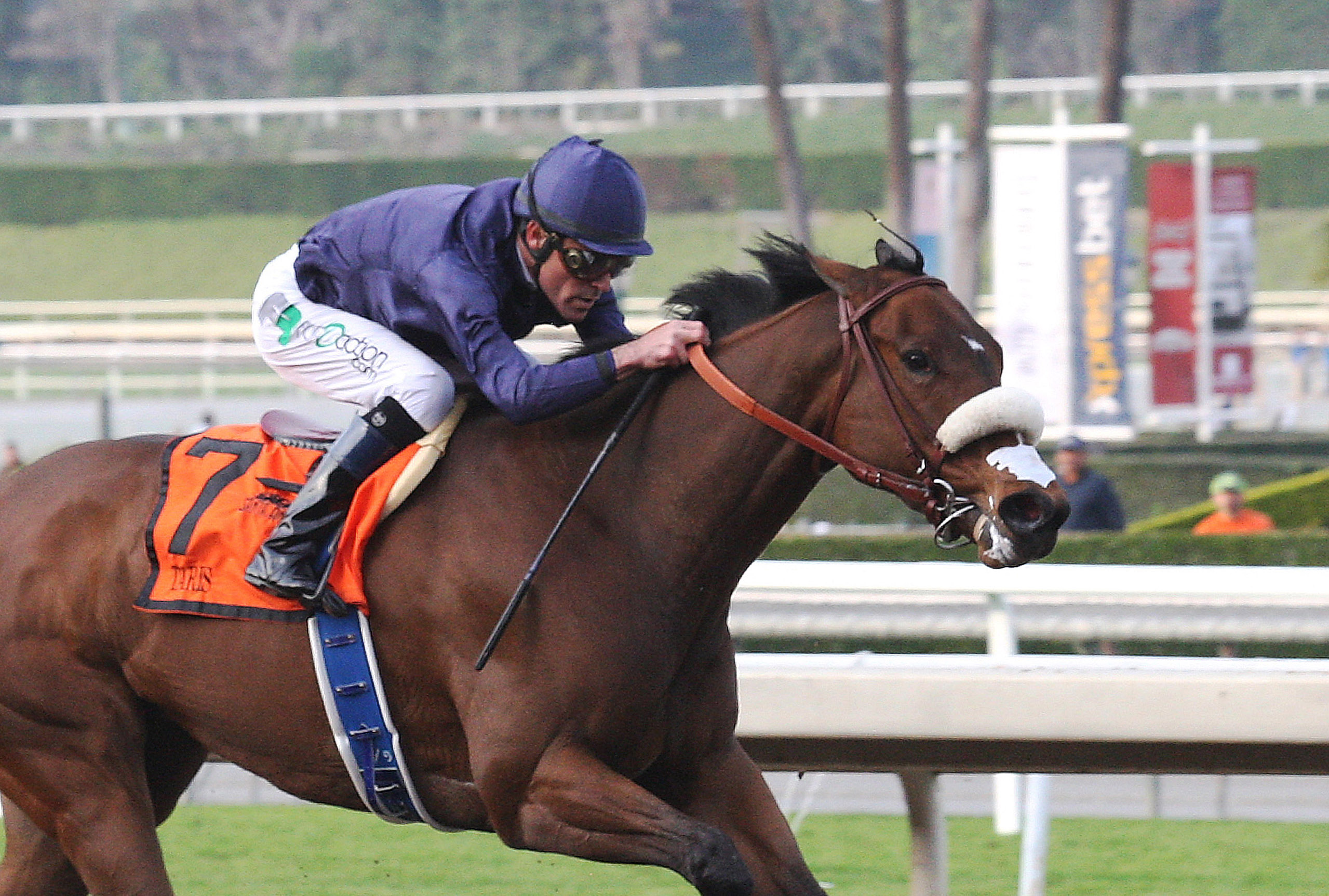 Taris wins the La Canada Stakes