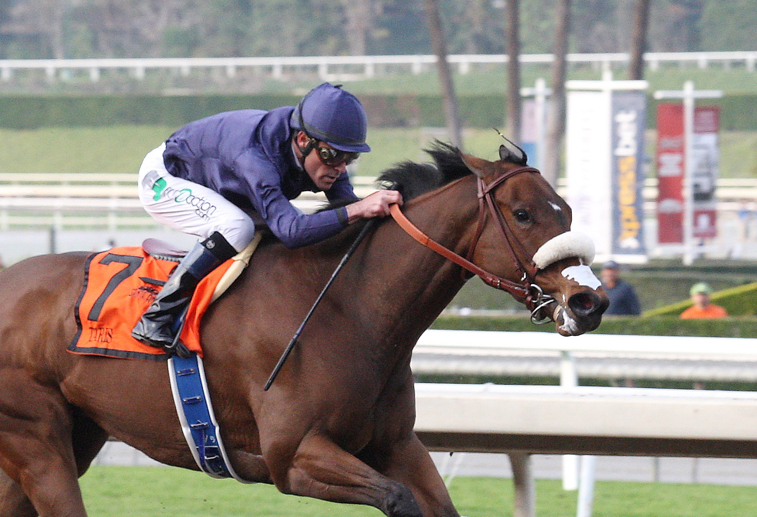 Taris wins the La Canada Stakes