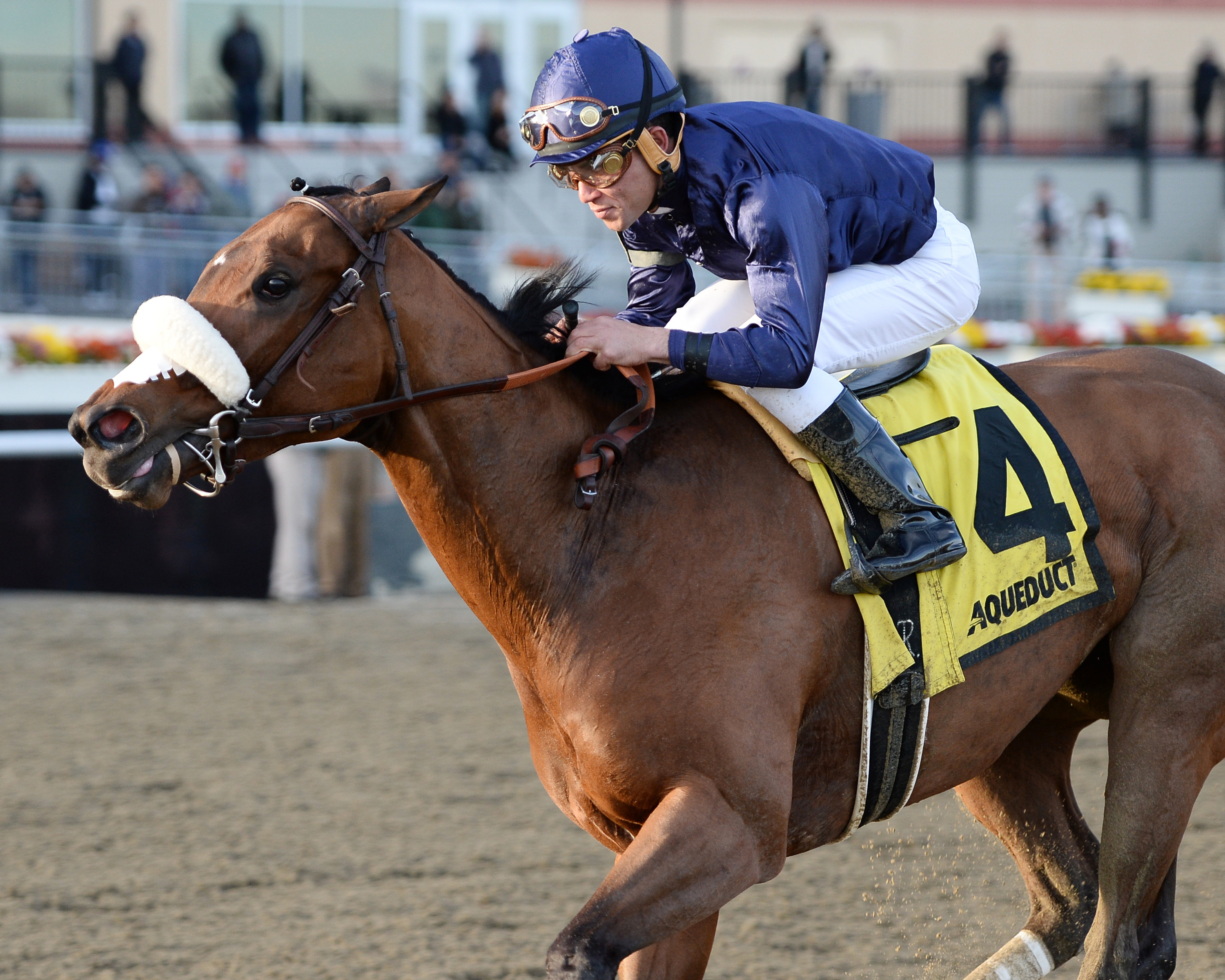 Taris wins the Go For Wand Handicap