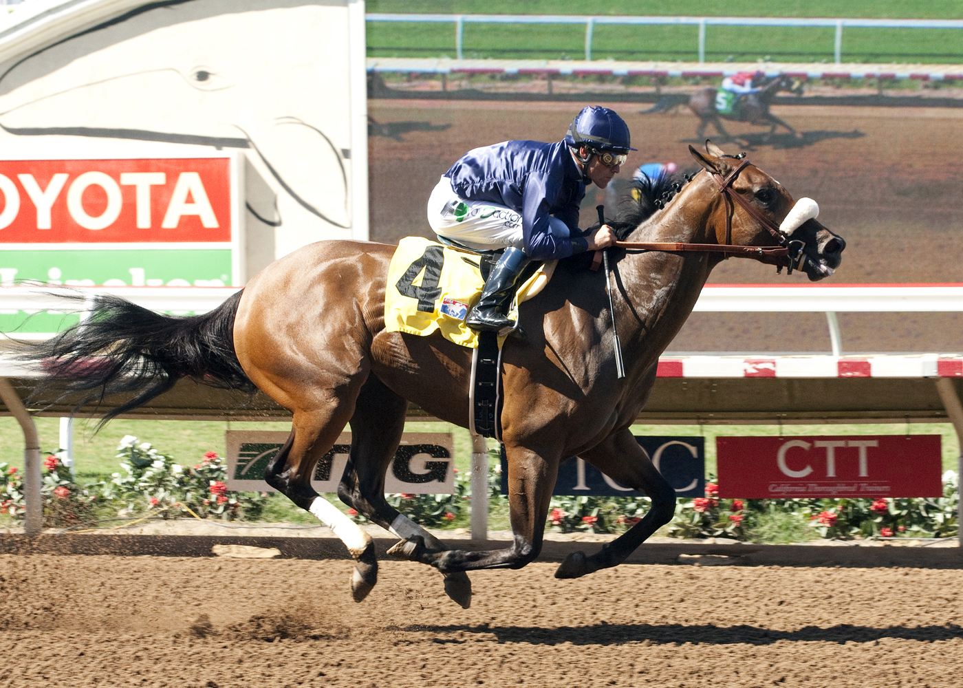 Taris wins the Ranch Bernardo Handicap