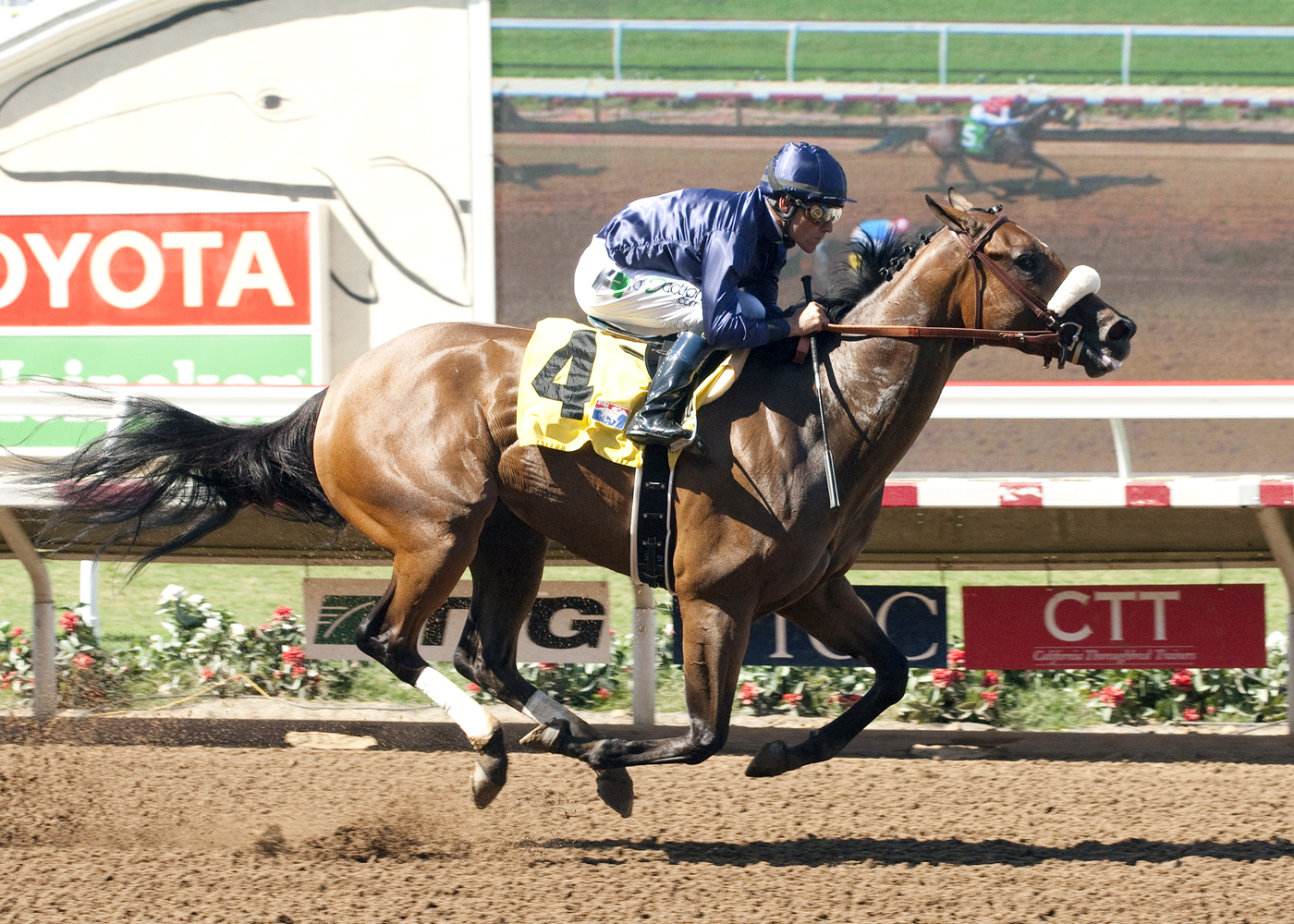 Taris wins the Ranch Bernardo Handicap