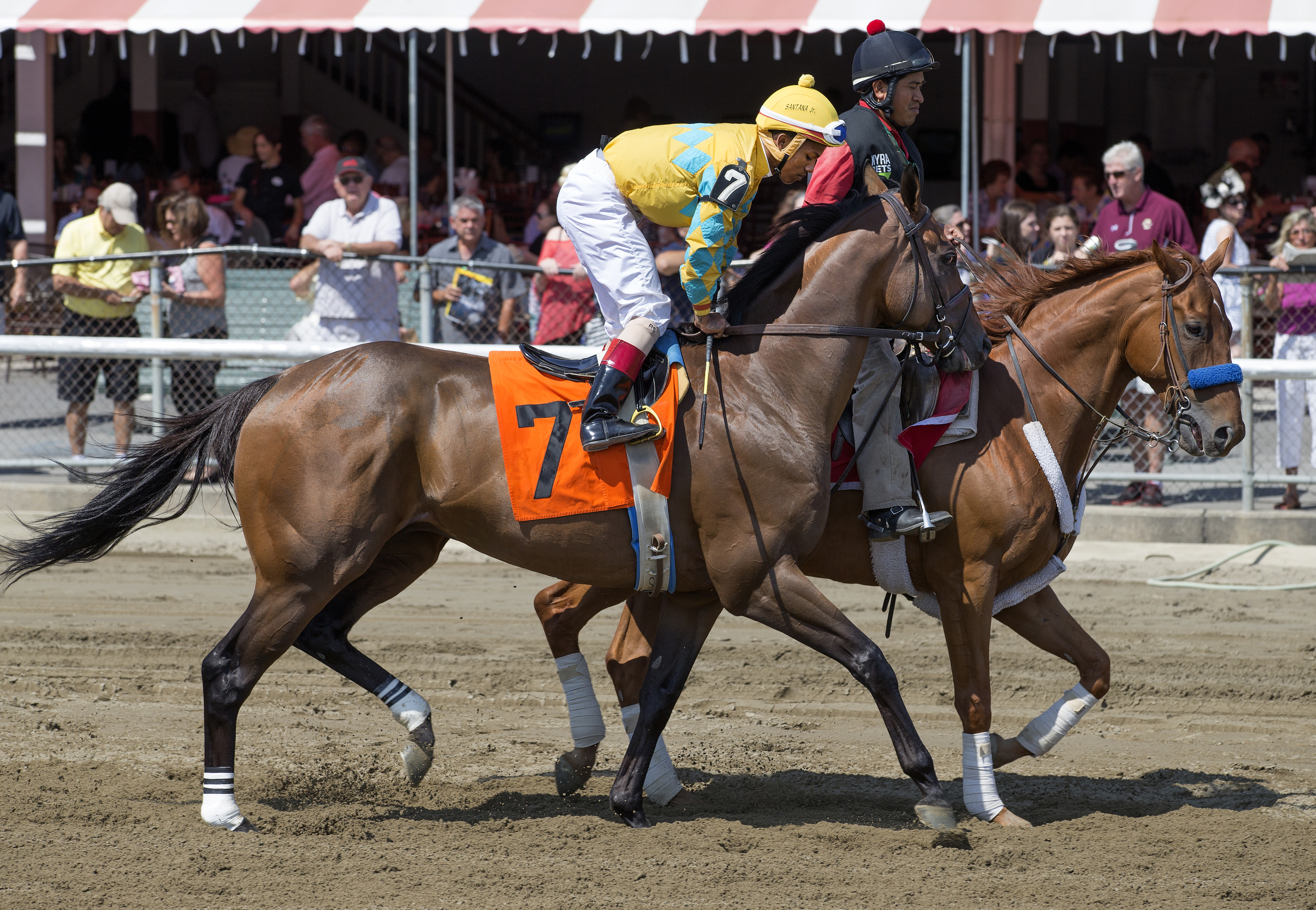 Tashreeh at Saratoga on Sept. 3