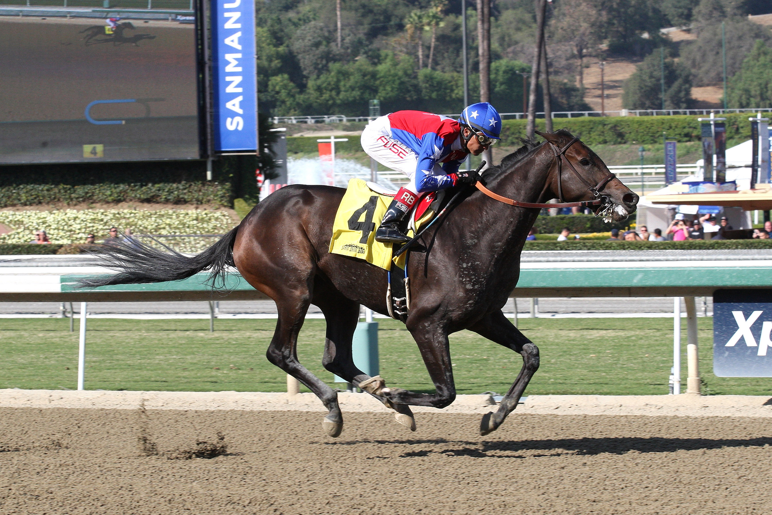 Taste Like Candy wins a maiden race