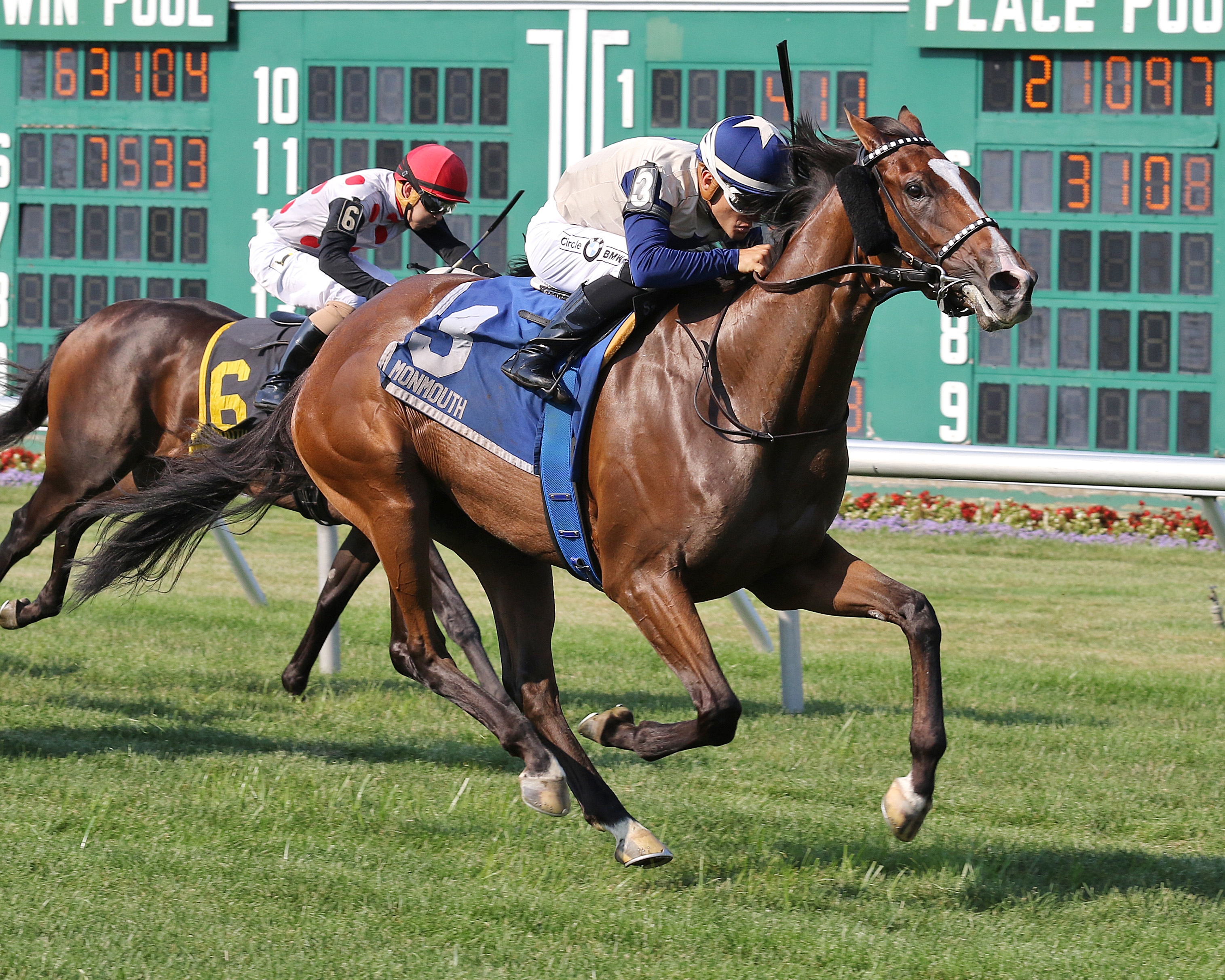 Tasting the Stars wins the 2019 Just Jenda Stakes