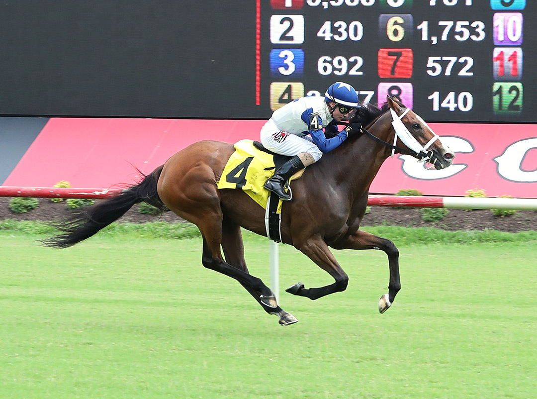 Tasting the Stars wins the 2021 Nellie Mae Stakes at Colonial Downs