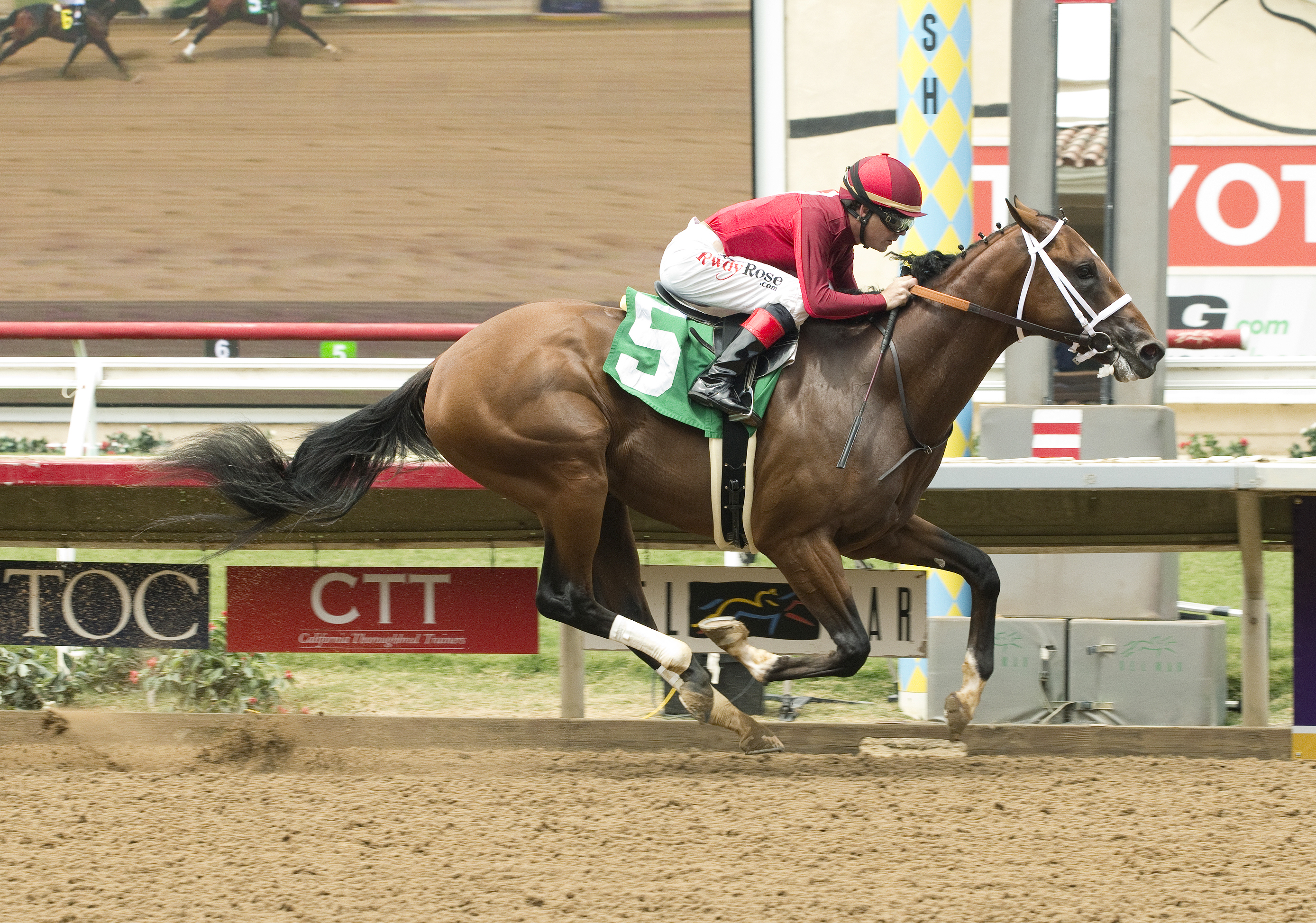 Tatters to Riches wins a maiden race on July 29
