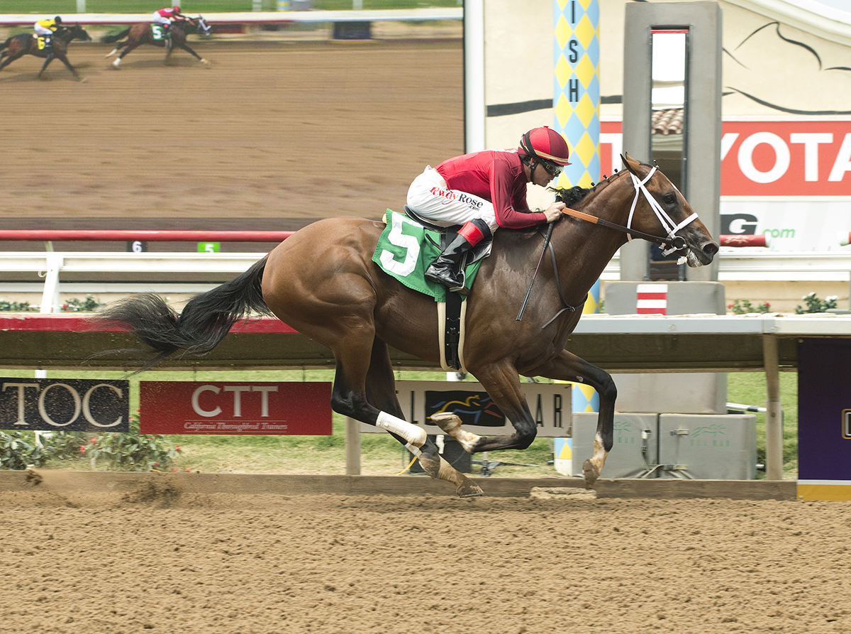 Tatters to Riches wins a July 29, 2017 maiden race