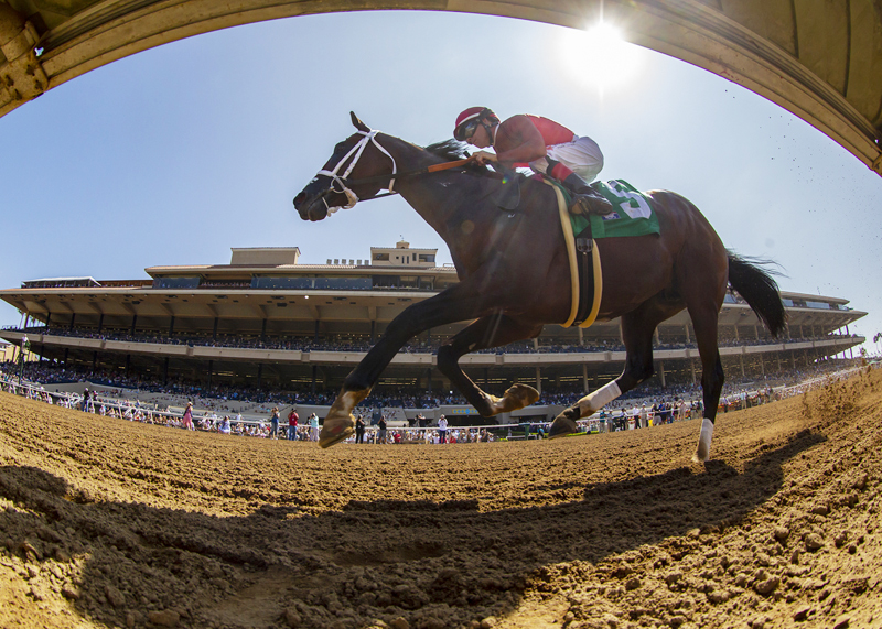 Tatters to Riches wins the Shared Belief