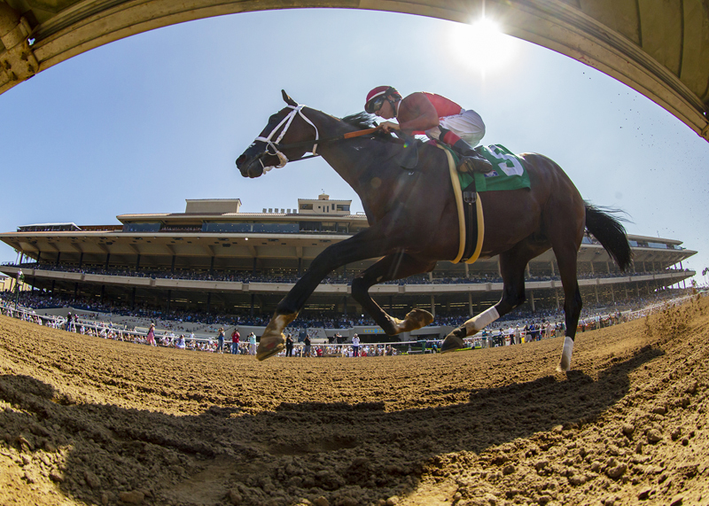 Tatters to Riches wins the 2018 Shared Belief Stakes