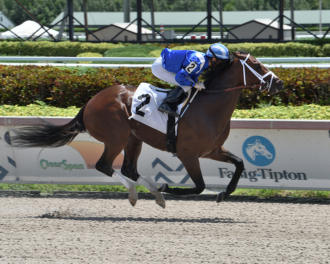 Tatweej wins a July 25 maiden race at Gulfstream Park
