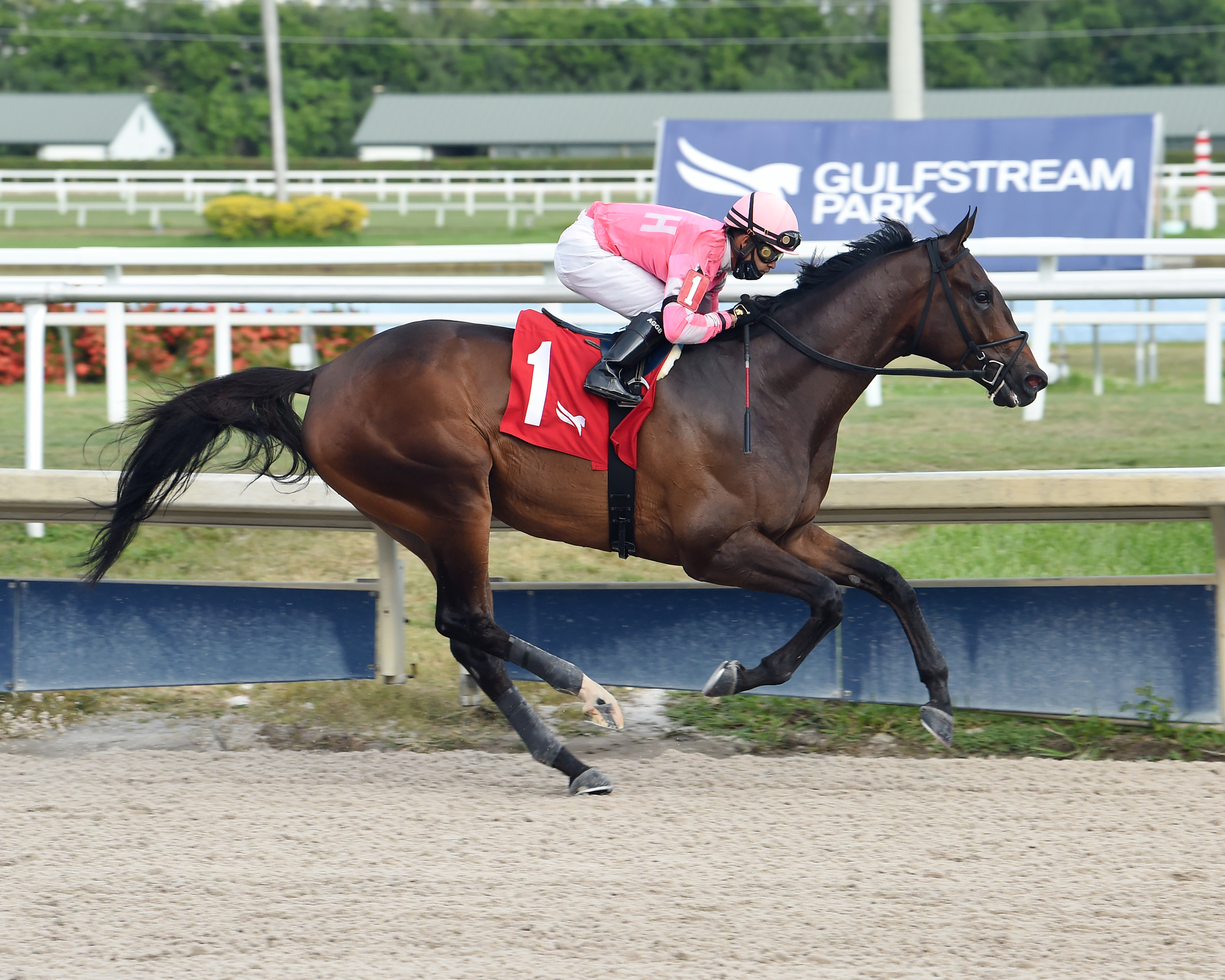 Tax wins the Harlan's Holiday 12-12-2020