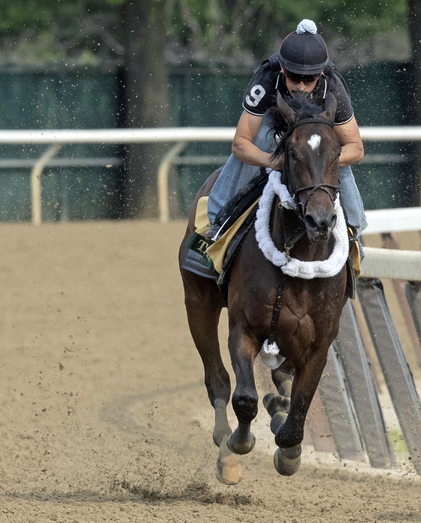 Tax works at Belmont Park on 6.1.19