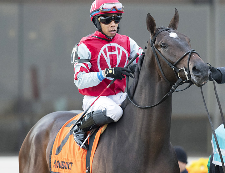 Tax at the 2018 Remsen Stakes
