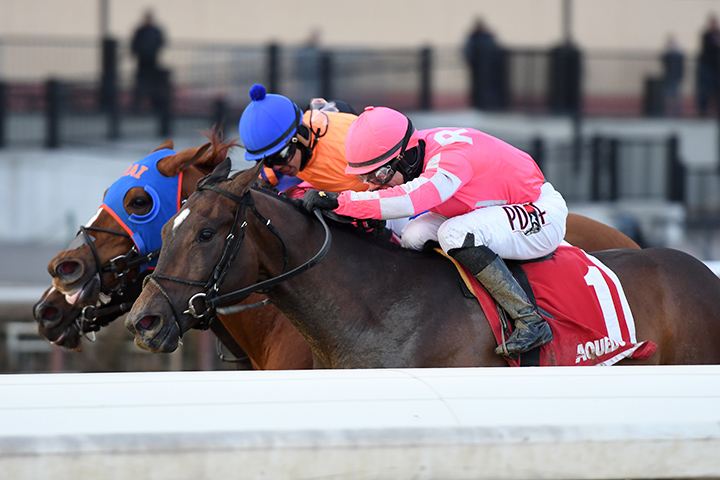 Tax wins the 2019 Withers