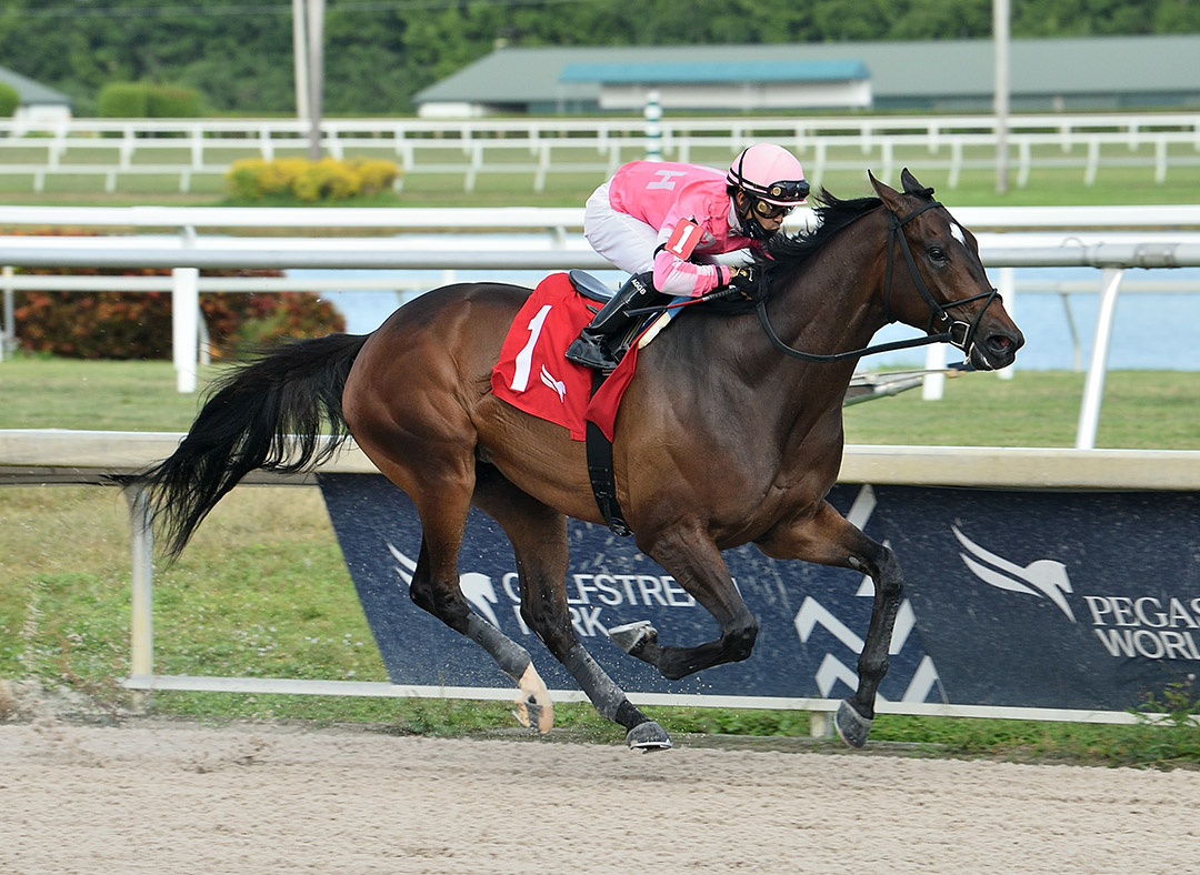 Tax wins the 2020 Harlan's Holiday Stakes at Gulfstream