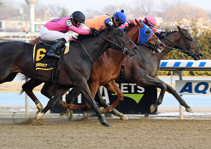 Our Braintrust finishes third in the Withers