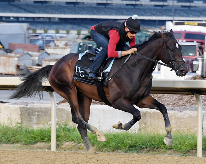 Tax trains at Belmont on Sept. 13
