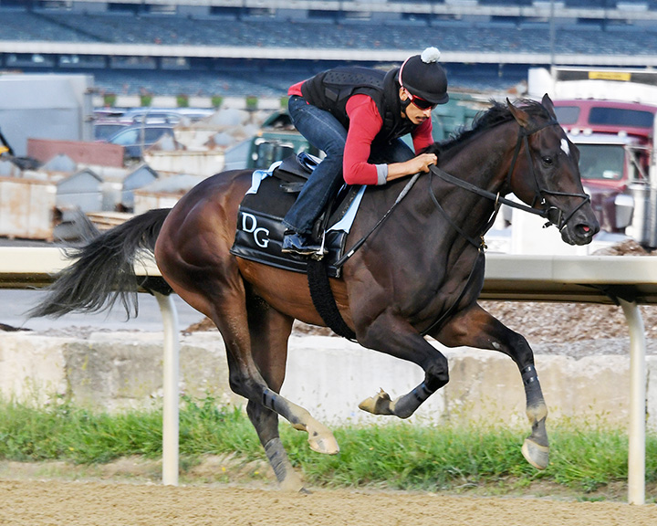 Tax trains at Belmont on Sept. 13