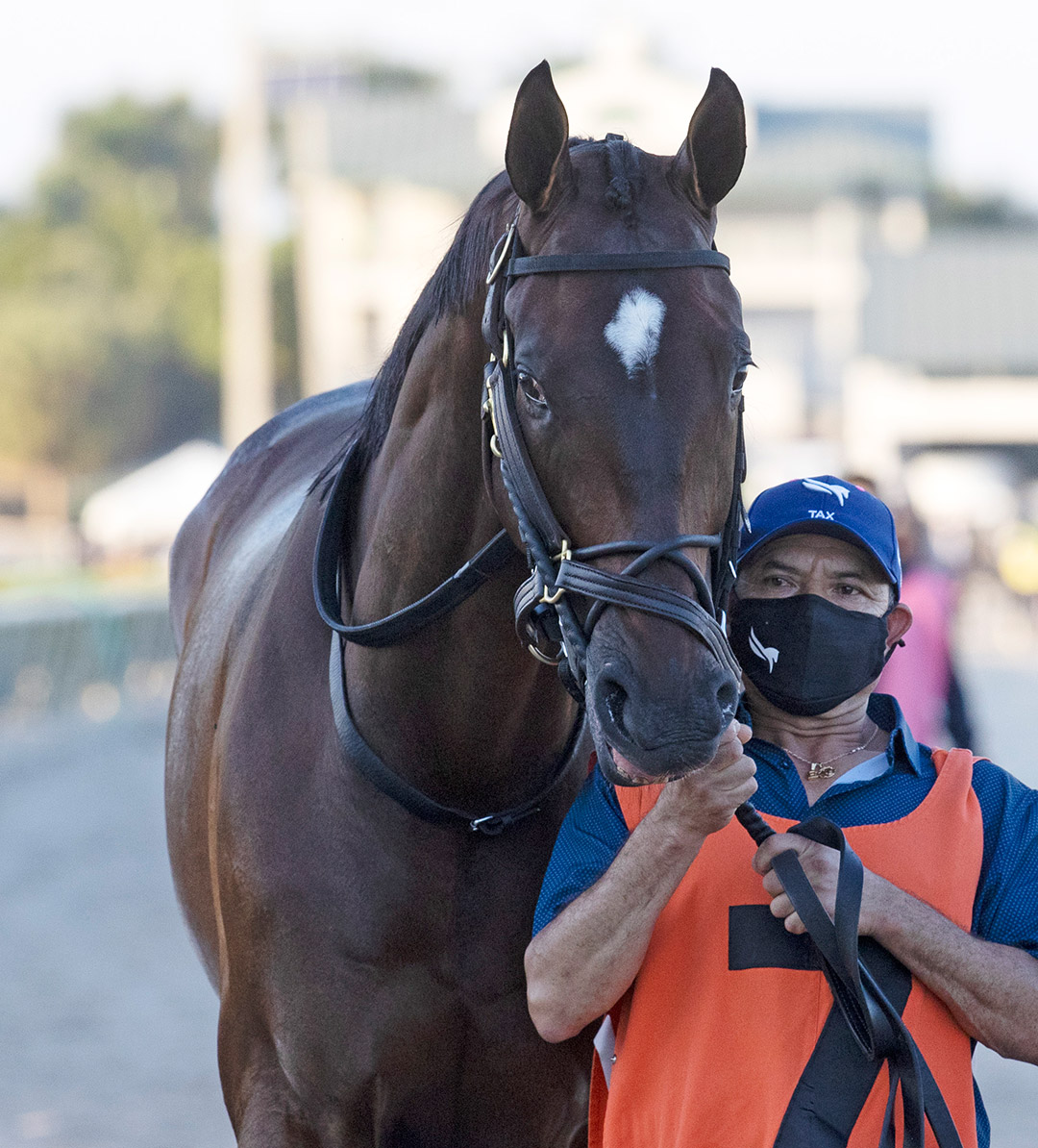 Tax at the Pegasus World Cup at Gulfstream Park