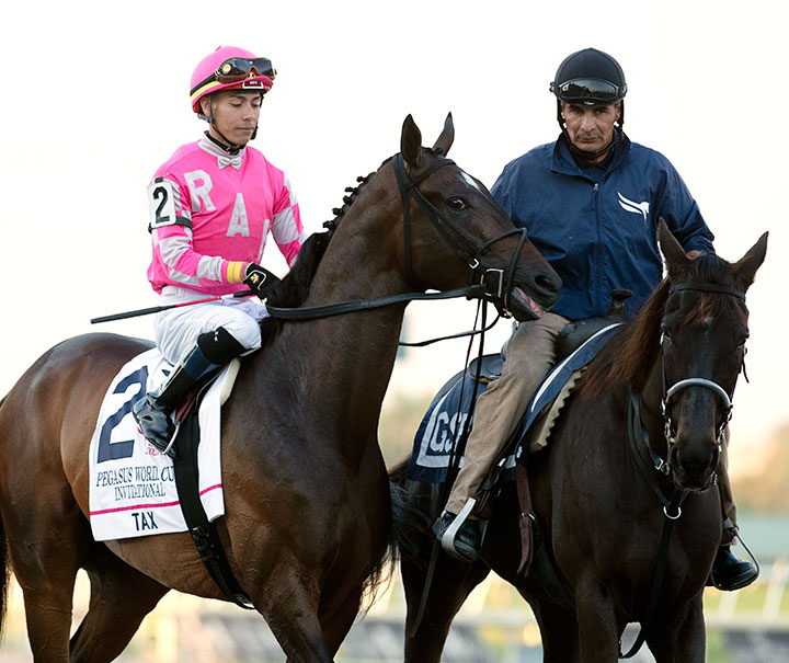 Tax at the Pegasus World Cup at Gulfstream Park