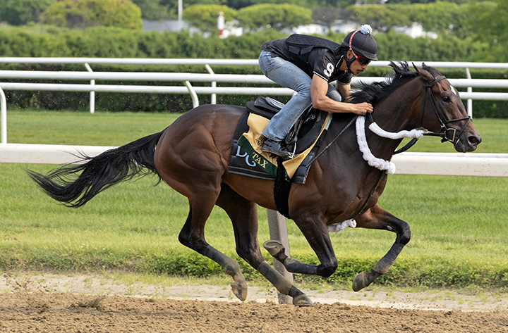 Tax trains at Belmont on June 1