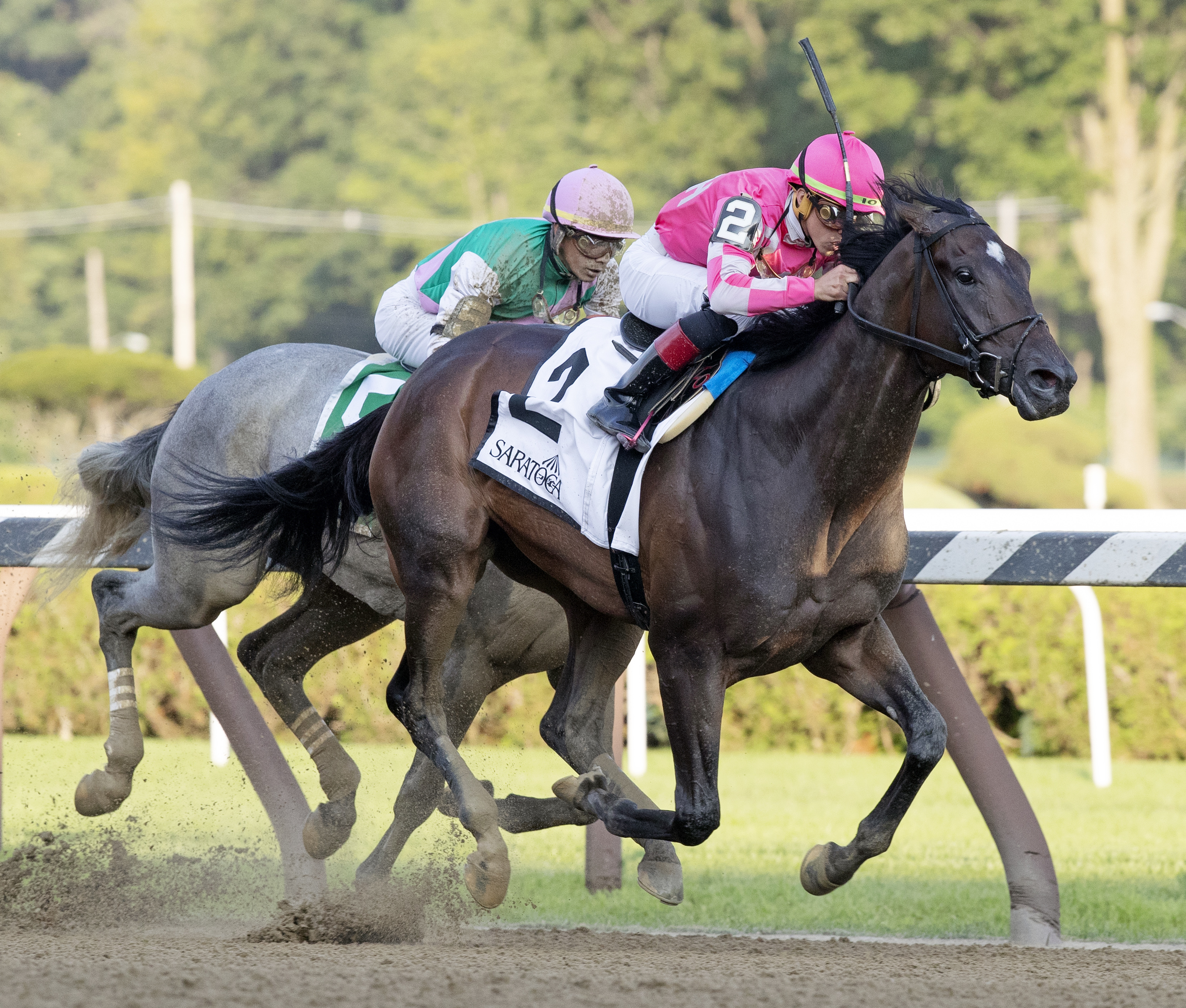 Tax wins the 2019 Jim Dandy Stakes