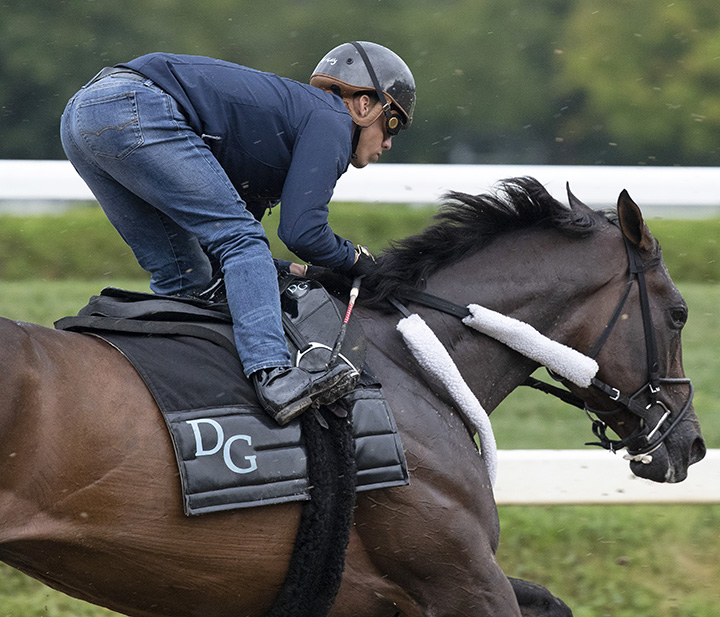Tax trains at Saratoga Race Course on Aug. 16