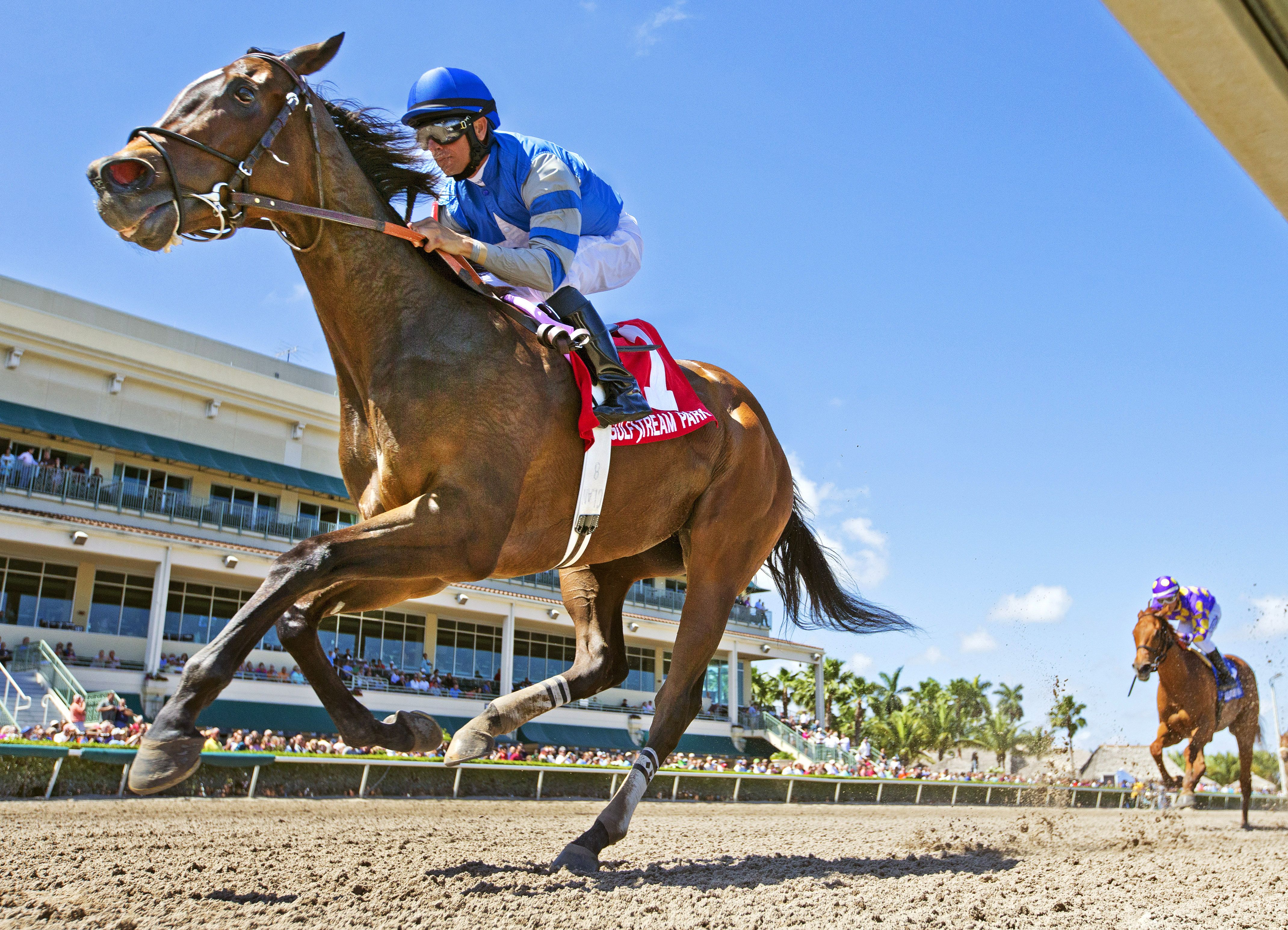 Taylor S, Any Limit Stakes