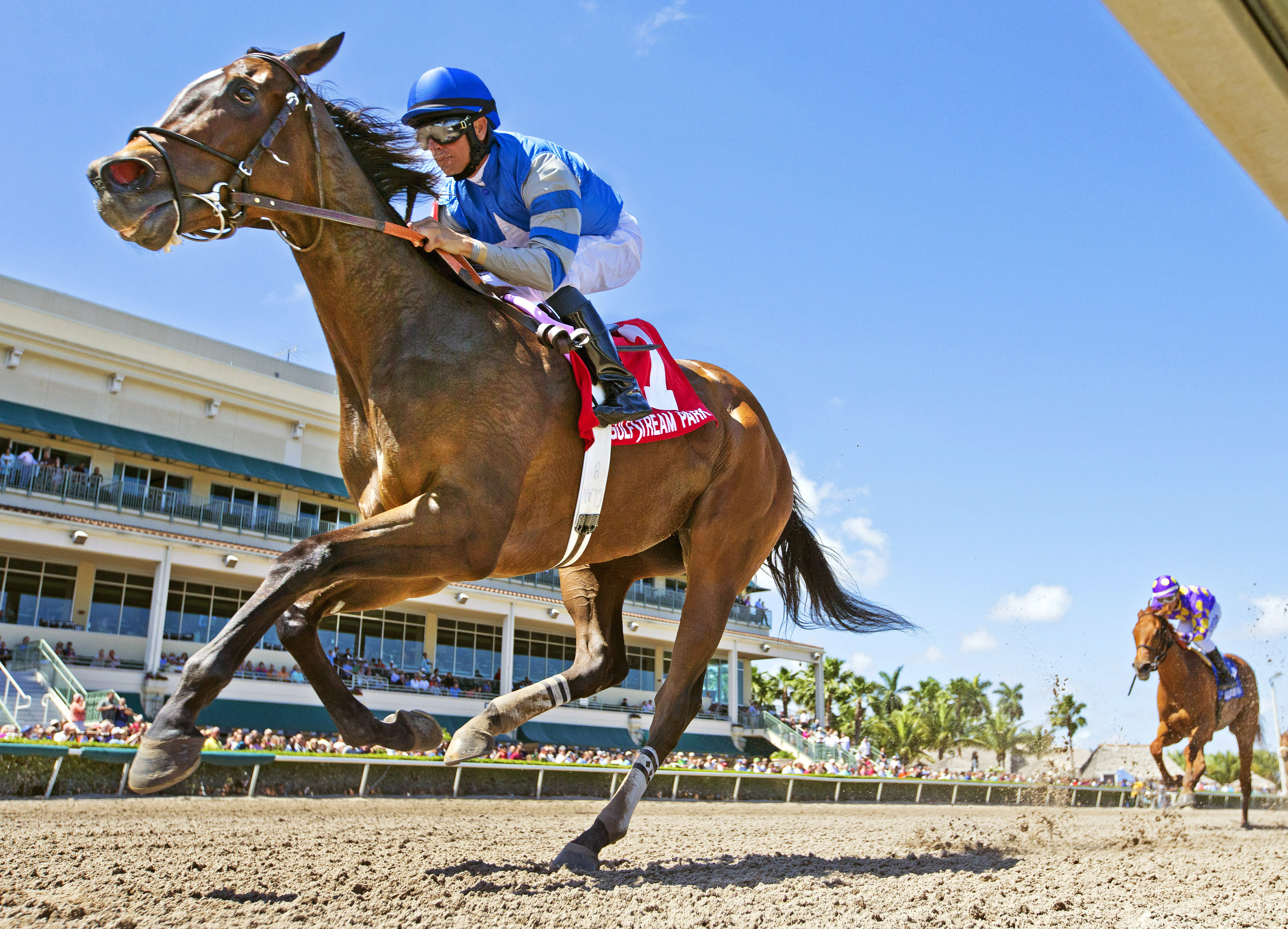 Taylor S wins the Any Limit Stakes